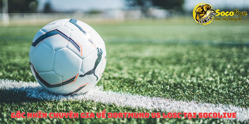 Link trực tiếp Dortmund đấu với LOSC & kịch bản hấp dẫn trước trận 4 Góc nhìn chuyên gia về Dortmund vs LOSC tại Socolive